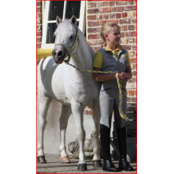 BR 4-Ever Horses Bodywarmer, Griffin