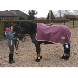 ThermoStar Wellfit Alcantara uitrijdeken, Blackberry