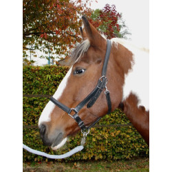 S&K leren halster met snelclipsluiting, Pony