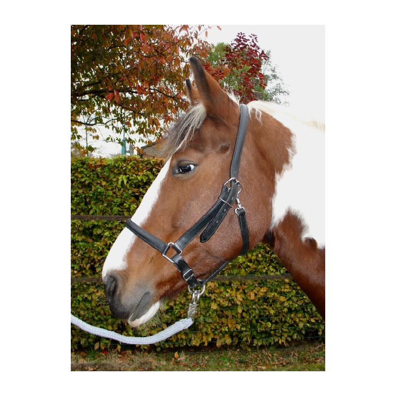 S&K leren halster met snelclipsluiting, Pony