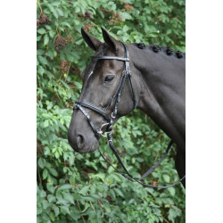 Horka hoofdstel Detach, afneemb. sperriem, zwart/zilver