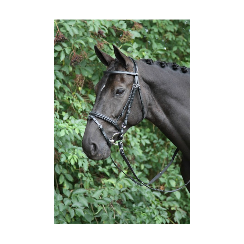 Horka hoofdstel Detach, afneemb. sperriem, zwart/zilver