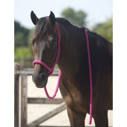 QHP leidhalster, lichtblauw, universeel