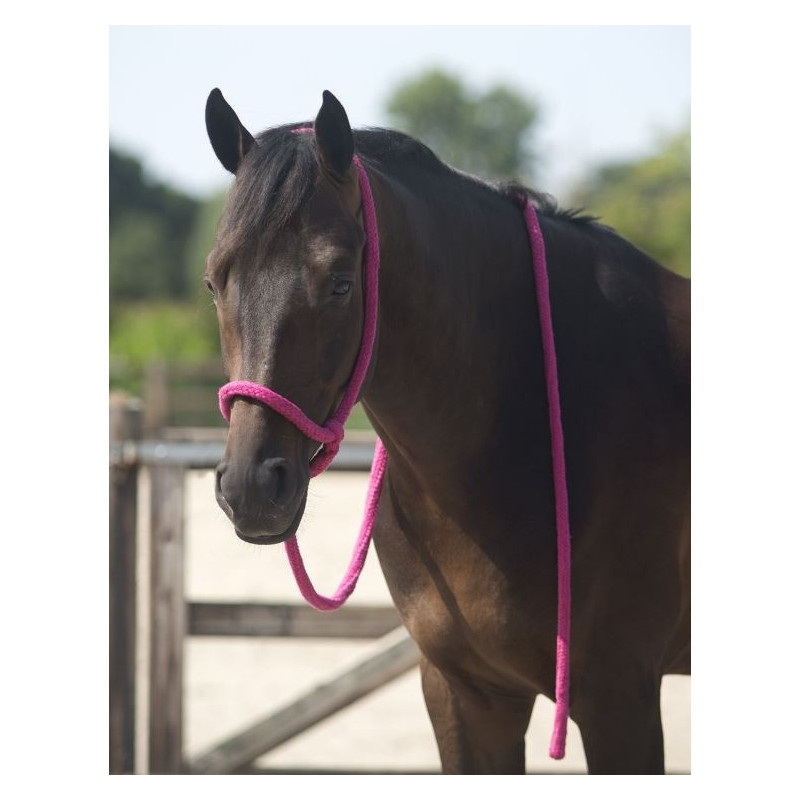 QHP leidhalster, lichtblauw, universeel