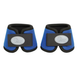 Harry's Horse Springschoenen neoprene Tiny, Royal Blue