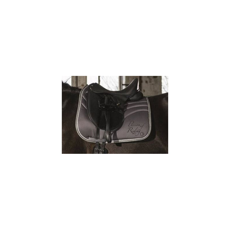 Cavallino Marino zadeldek Piemont, grijs