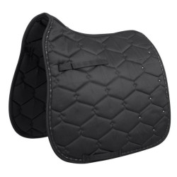 BR Zadeldek Buckingham, Zwart