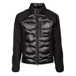 Harry's Horse Softshell padded jas Liciano, Zwart