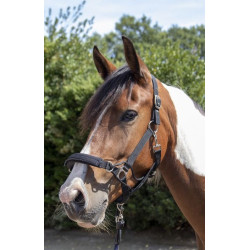 HKM Halster -Safe Control- Style, Zwart