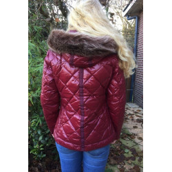 Busse jack Melody Down, Wijnrood