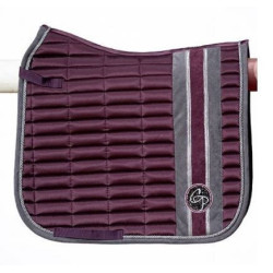 Cavalli Puri Zadeldek Odello Derby, Bordeaux