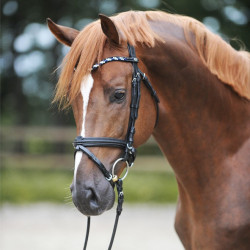 Kavalkade Frontriem Monique Lak, Donkerblauw