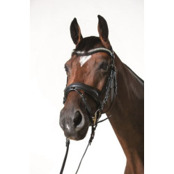 HKM hoofdstel Cavalli Puri, Zwart