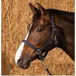 Harry's Horse halsterset Glitter, Navy