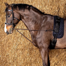 Harry's Horse Longeerkoord V-line (paar), Zwart
