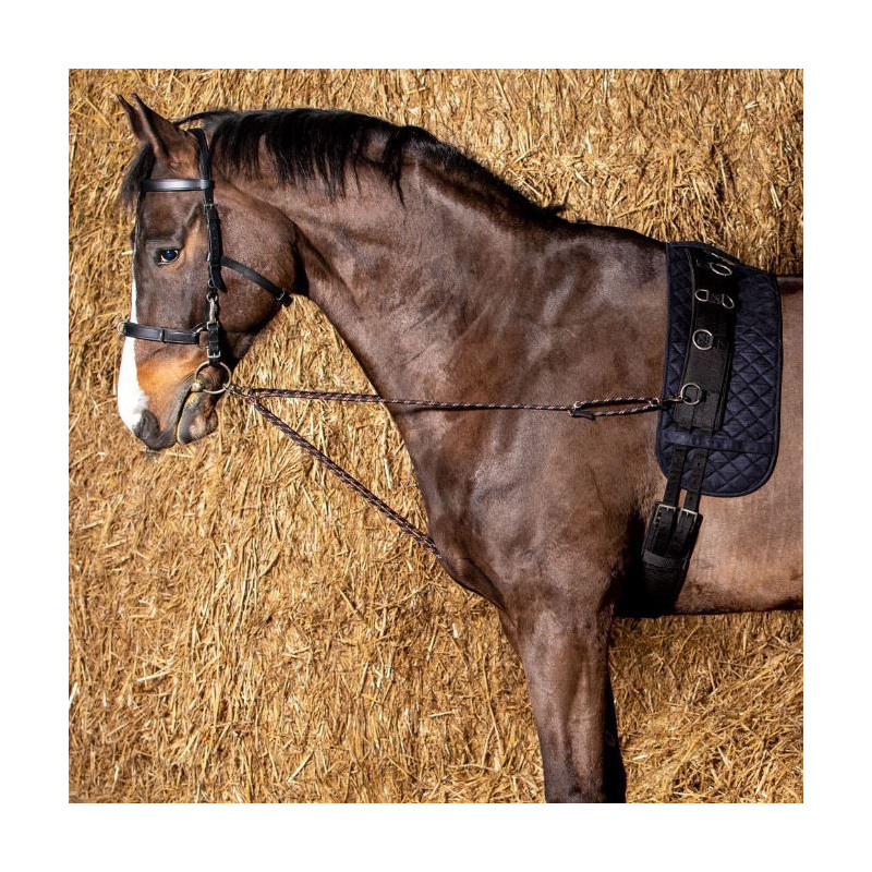 Harry's Horse Longeerkoord V-line (paar), Zwart