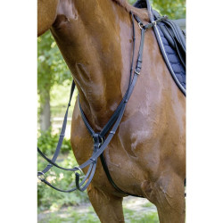 HKM Leren Borsttuig Ruby, Bruin