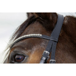 HKM hoofdstel Melinda, zwart