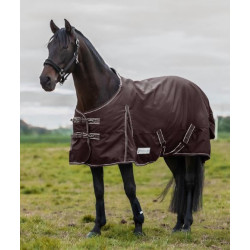 Waldhausen 200 grams Economic Outdoordeken, Kastanjebruin