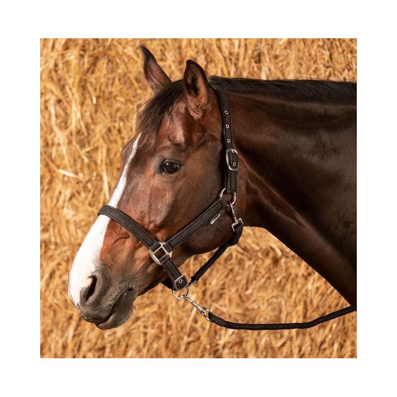 Harry's Horse Halsterset Glitter, Zwart