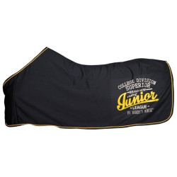 HH Jersey fleece deken Junior, Donkerblauw