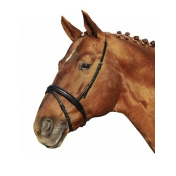 HKM gecombineerde neusriem m sperriem London, Zwart