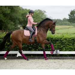 Cavallino Marino Style Zadeldek -Della Sera Classico-, Grijs