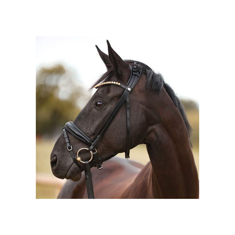 Kavalkade hoofdstel "Fortuna" KavalSH4, afneembare sperriem, Zwart