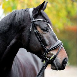 Kavalkade hoofdstel Charlotte, Zwart/Zwart lak