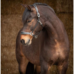 Harry's Horse leren halster Sparkle, Zwart