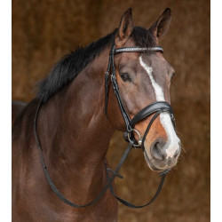 Harry's Horse Hoofdstel Drops, Zwart