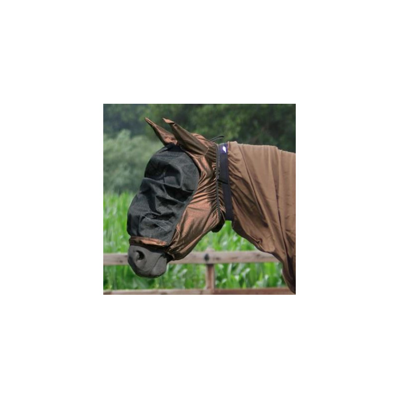 QHP Eczeemkap, Bruin