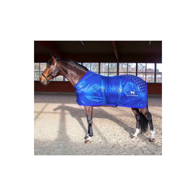 Accuhorsemat Original deken met acupressuur matten, Blauw, M (130-145 ruglengte!