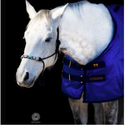 Accuhorsemat Original deken met acupressuur matten, Blauw, M (130-145 ruglengte!