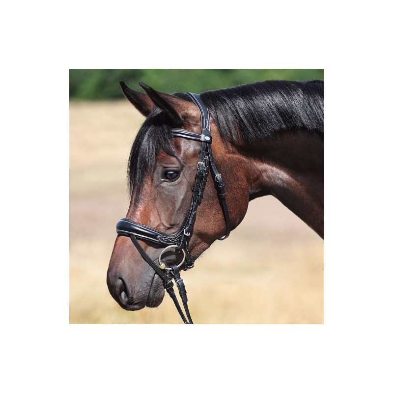 Kavalkade Hoofdstel Ivy Plus, Zwart