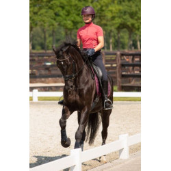 Harry's Horse Shirt Assoul, Holly-Berry