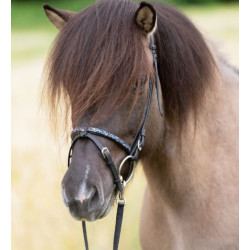 Kavalkade IJslander neusriem Kjartan-Blár, Zwart/Blauw