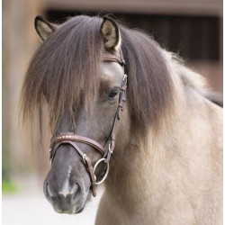 Kavalkade IJslander frontriem Aradis-Fleginn Island, Bruin-Bruin