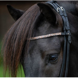 Kavalkade IJslander Frontriem Kjartan-Ferskja Island, Zwart-Rosegold