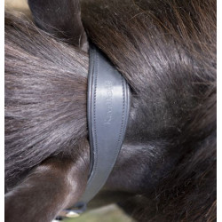 Kavalkade kopstuk voor IJslander hoofdstel Aradis, Zwart