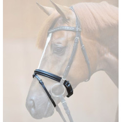 Kavalkade aansnoerneusriem m zachte padding, Zwart