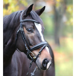 Kavalkade hoofdstel Proline Astrid, Zweedse aansnoerneusriem, Bruin