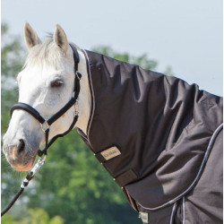 Kavalkade IJslander Halsdeken Alaska Island, Zwart