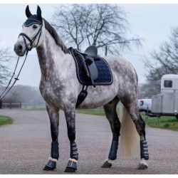 HKM Dressuur Beenbeschermers Rosegold Glamour Style, Voor Voorbenen, Donkerblauw/Rosegold