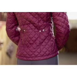 HKM Donsjas Stella, Donkergroen