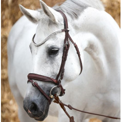 Kavalkade KavalSH4 hoofdstel Everness van geolied leer, Bruin