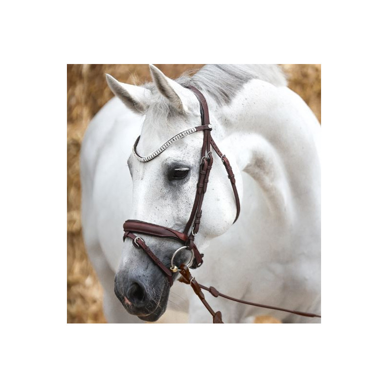 Kavalkade KavalSH4 hoofdstel Everness van geolied leer, Bruin