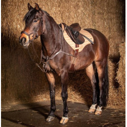 Harry's Horse zadeldek Oxer, Zwart