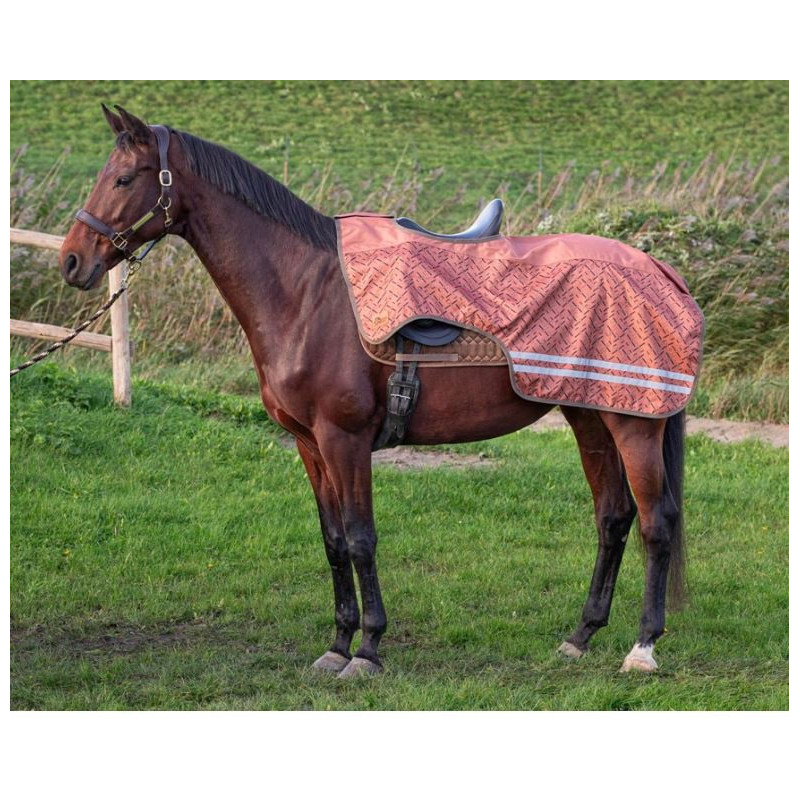 Harry's Horse Uitrijdeken Waterdicht 0gr Fleece WI24, Sierra