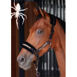 Harry's Horse Halsterset Halloween, Zwart
